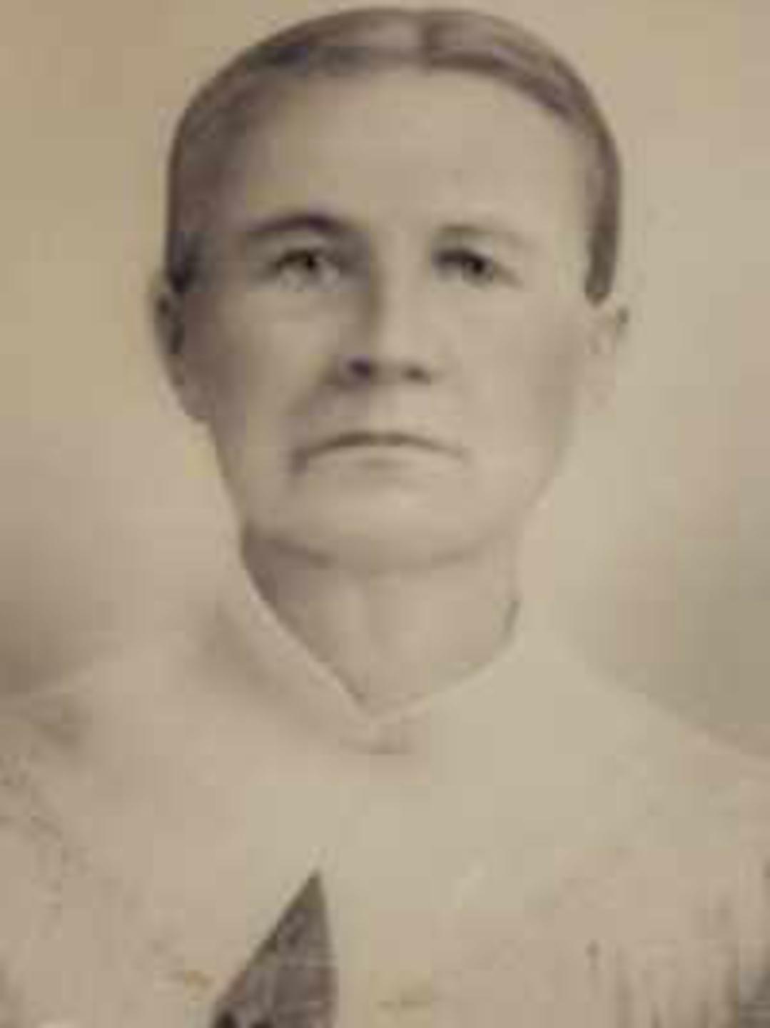 Mary Ann Handy (1847 - 1915) Profile